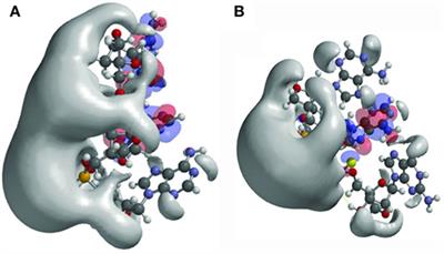 Guidelines for Rational Cancer Therapeutics